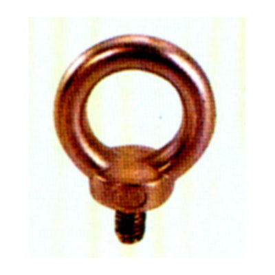 Stainless Steel Eye Screw DIN 580